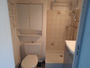 Een douche, een haardroger, zeep, toiletpapier