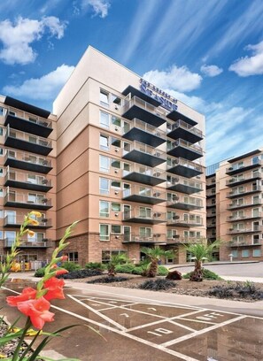 Immagine non classificata, 5 di 31, pulsante