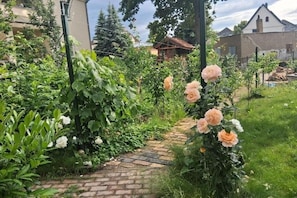 Puutarhapolku, jonka varrella kasvaa ruusuja ja muuta vihreää kasvillisuutta, ja jonka ympärillä on rakennuksia.