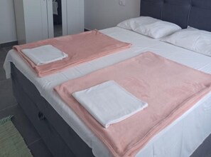 Appartement (Two Bedroom Apartment with Terrace) | 6 slaapkamers, babybedden (toeslag), gratis wifi
