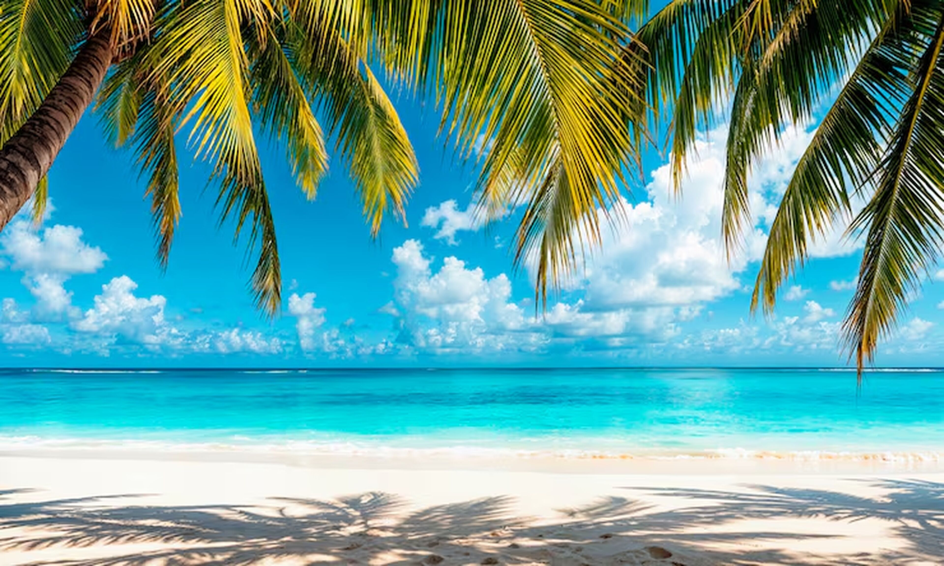 Plage à proximité, chaise longue, serviettes de plage