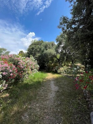 Terrein van de accommodatie