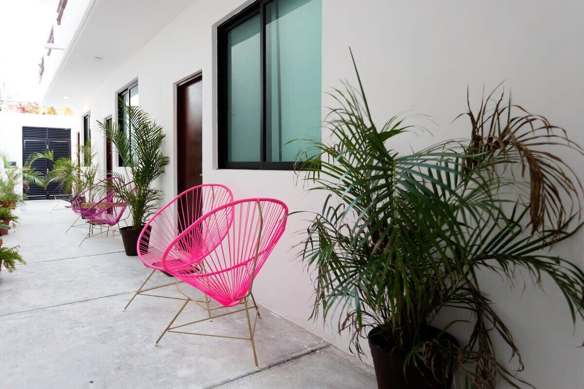 A modern building with large windows, a concrete pathway, and potted plants.