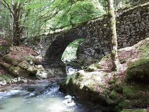 Photo non class ée, 4 sur 24, bouton