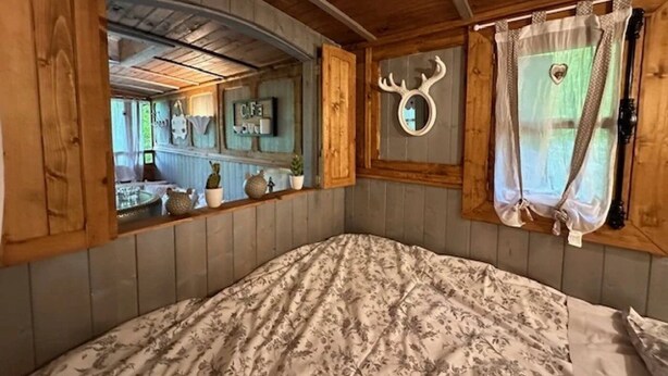 A rustic cabin interior with a bed, wooden walls, a mirror, and a deer head decoration. - ZEcamping 3* piscine chauffée jacuzzi locatif TV 18m2 2 pers (Grand-Laviers)
