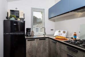 Fridge, microwave, stovetop, dishwasher - ZEcamping 4* 1km plage piscine couverte mobil-home TV LV BBQ 31m2 (Saint-Jean-de-Monts)