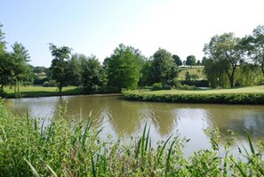 Immagine non classificata, 3 di 22, pulsante