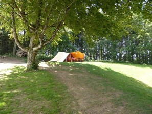 Property grounds - ZEcamping 3* pataugeoire piscine dog friendly locatif 20m2 6 pers (Le Bez)