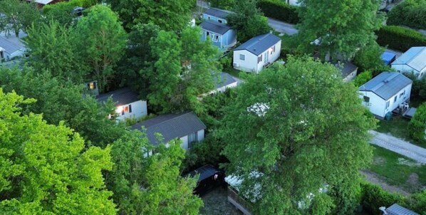 Un quartier résidentiel où les maisons sont entourées d’une végétation luxuriante.