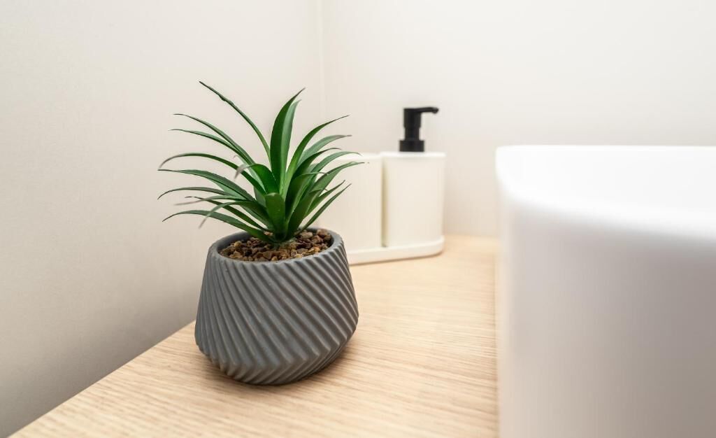 Căn hộ Deluxe, không hút thuốc, ban công