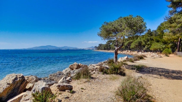 A coastal landscape with a clear blue sea, rocky terrain, and a dirt path leading to a beach. - ZEcamping 3* 200m plage locatif TV LV clim 40m2 6 pers (Hyères)