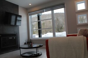 Téléviseur connecté, foyer, livres