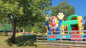 Eine aufblasbare Spielkonstruktion mit Clownschnauze, Rutschen und einem Tunnel.