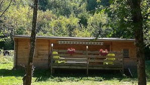 A wooden cabin with a simple, rustic design, featuring a front porch with yellow cushions and potted plants. - Chalet 3 étoiles - Piscine  - ccbfeag (Mayrac)