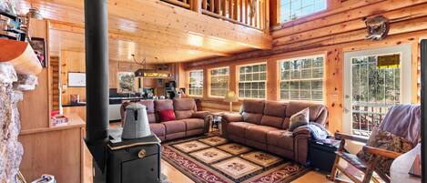 TV, fireplace, books