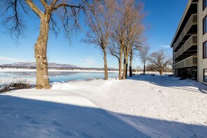 A snow-covered landscape with a building and trees. - Au p'tit cocon sur le lac (Magog)