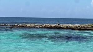 Visão nítida de uma costa rochosa, com águas calmas e um horizonte distante.