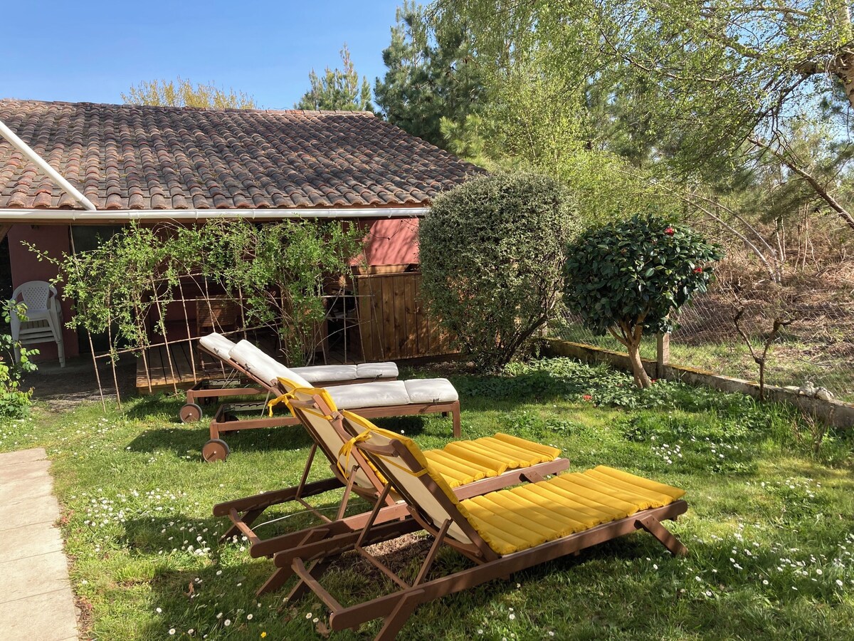 Bild für Gastgeberprofil