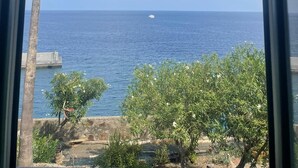 Vista al mar a través de una ventana, con una palmera y algo de vegetación en primer plano.