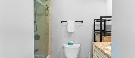 Un baño moderno con ducha de vidrio, inodoro con toallero y lavabo con encimera de granito.
