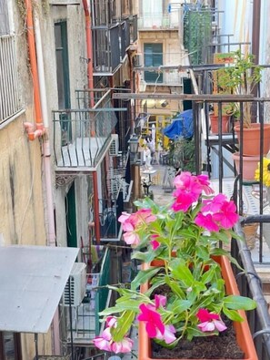 Superior Double Room, Balcony, City View | Property grounds - Bìfara Rooms  (Palermo)
