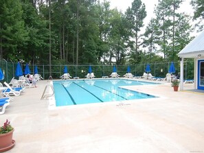 En swimmingpool med liggestole og parasoller, omgivet af træer.