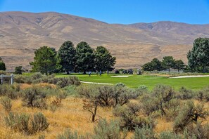 Ein Golfplatz mit Bergelandschaft, einem gepflegten Rasen und vereinzelten Bäumen.