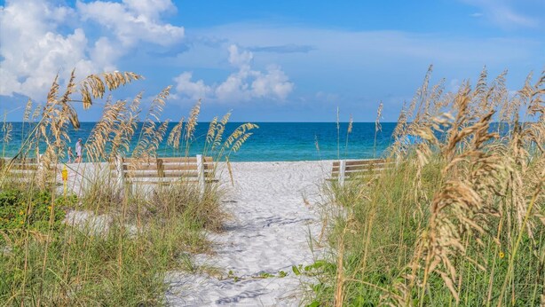 A sandy beach path leading to the ocean, surrounded by tall grasses and a wooden fence. - Direct Beach Access Beautiful Resort Balcony (Holmes Beach)