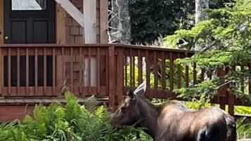 Overnattingsstedets uteområder