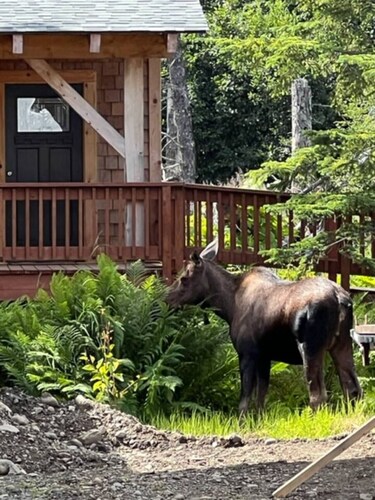 Charming 2-bedroom cottage in Homer perfect for relaxing stays.