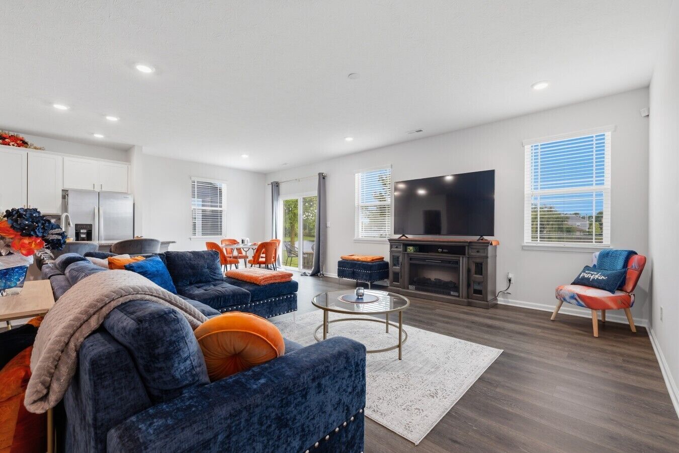 TV, fireplace, video games, books