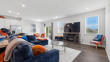 TV, fireplace, video games, books
