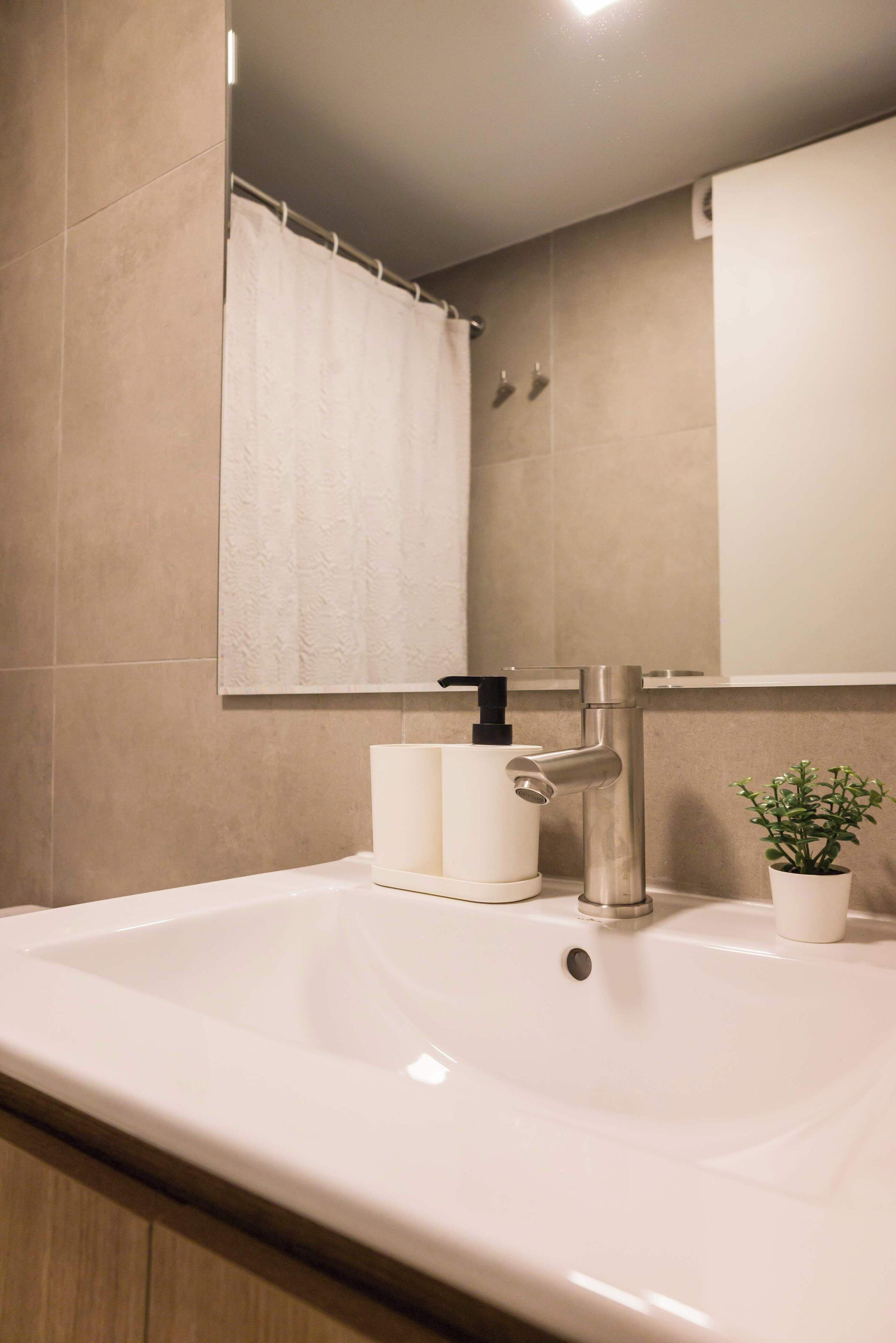 A bathroom with a white sink, a faucet, a mirror, and a potted plant.