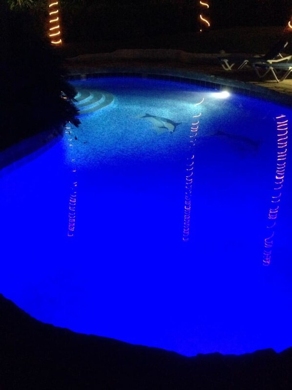 A swimming pool at night with illuminated edges and a dolphin swimming. - Villa Dawn, Bahia de Arena (Cabarete)