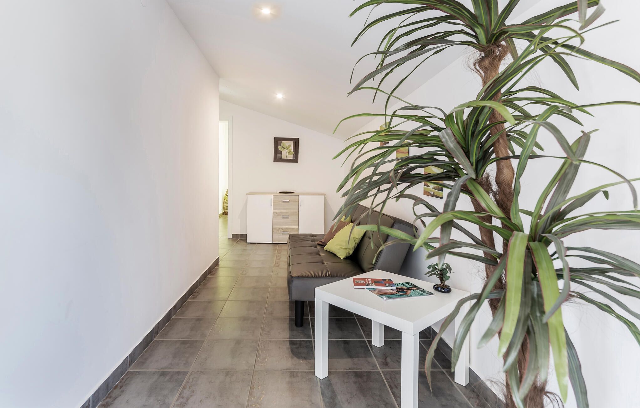 Een moderne woonkamer met een bank, een salontafel en een grote potplant.