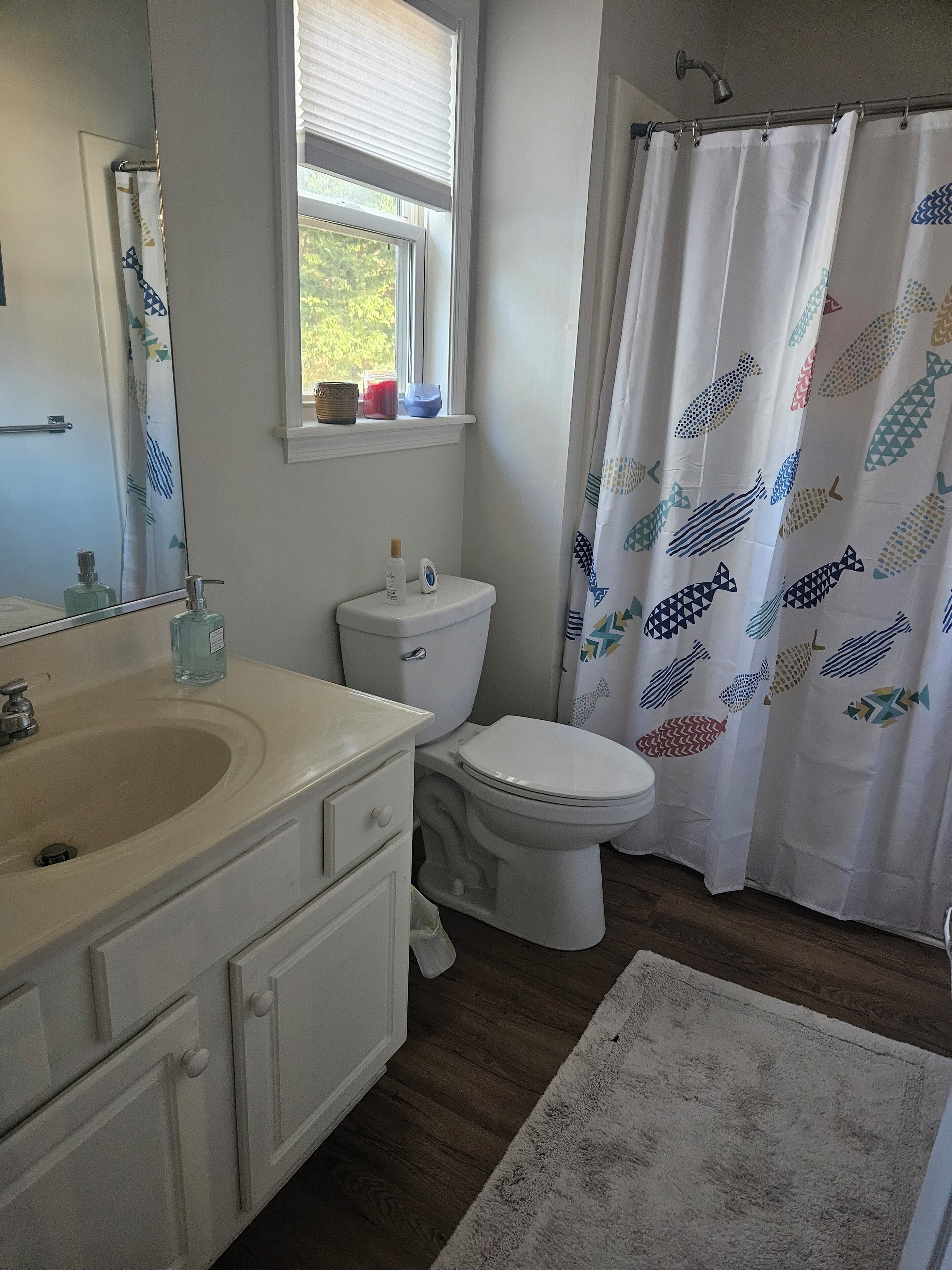 Hair dryer, towels, soap, toilet paper