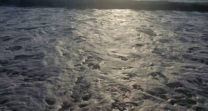 Peaceful 1-bedroom sound view apartment in charming Southern Shores NC