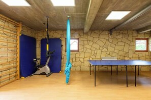 A room with a stone wall, a blue exercise machine, a blue table tennis table, and a blue aerial yoga hammock. - House with a View, Mucharz 405 (Mucharz)
