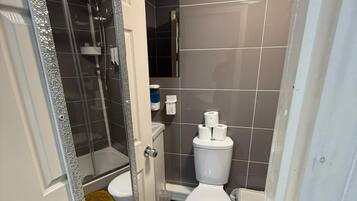 Shower, hair dryer, towels, toilet paper