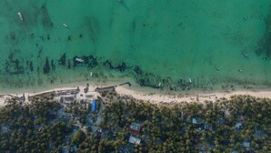 Une vue aérienne d’une zone côtière avec une plage, des bateaux et un ensemble dense de bâtiments entourés de palmiers.