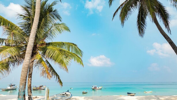 Une plage bordée de palmiers, avec des bateaux et une eau d’un bleu cristallin.