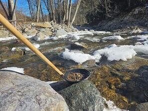 Imagen sin descripción, 4 de 24, botón