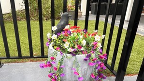 A bird statue on a planter with flowers. - Experience 5-star comfort without the 5-star price tag. Peaceful Delta retreat  (Delta)