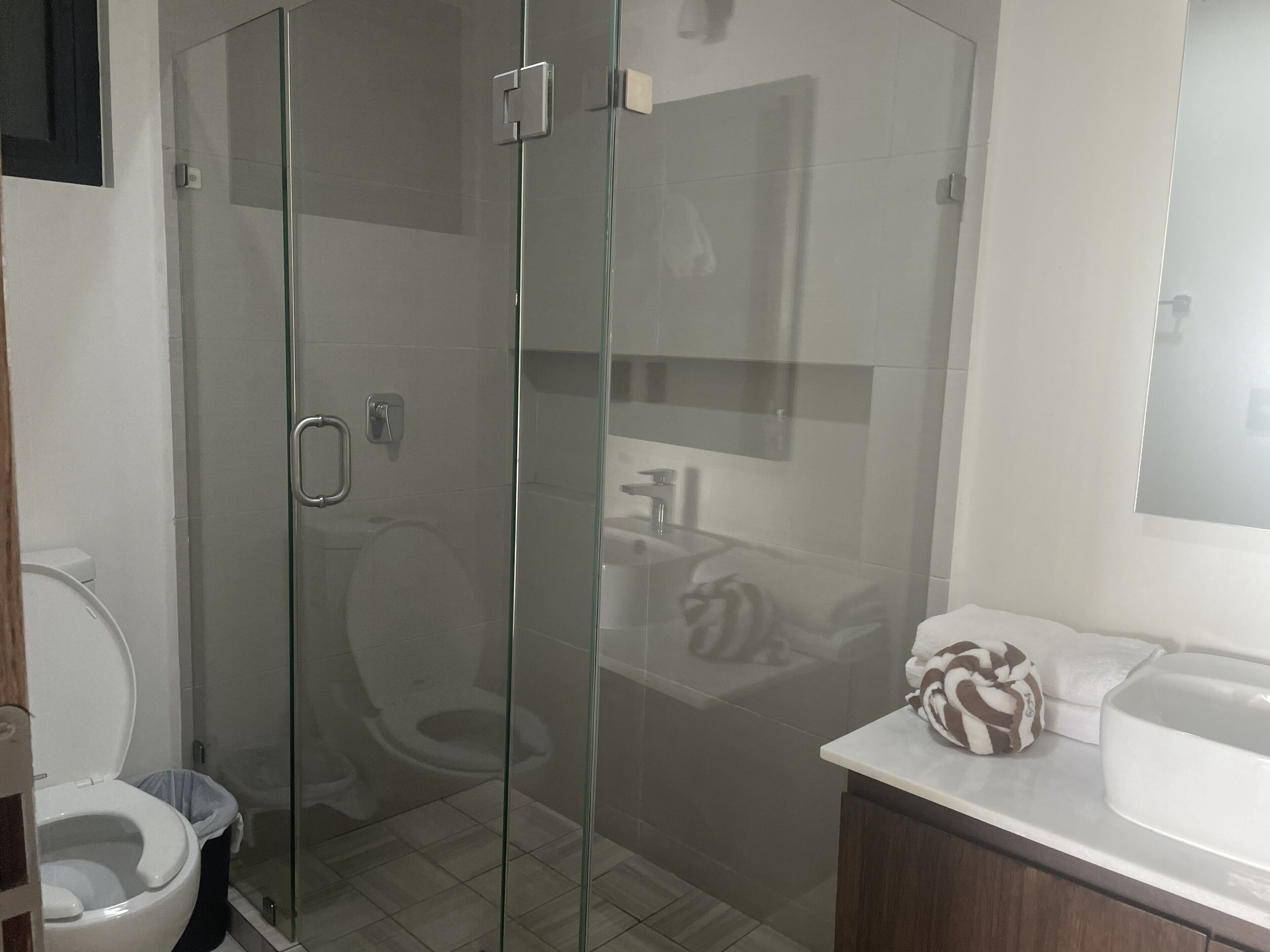 Een badkamer met een douche met glazen wand, een toilet en een wastafel met een handdoek.