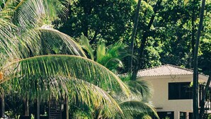 A swimming pool with a clear view of the surrounding lush greenery and palm trees. - La Perla @ Rocamar (Jicalapa)