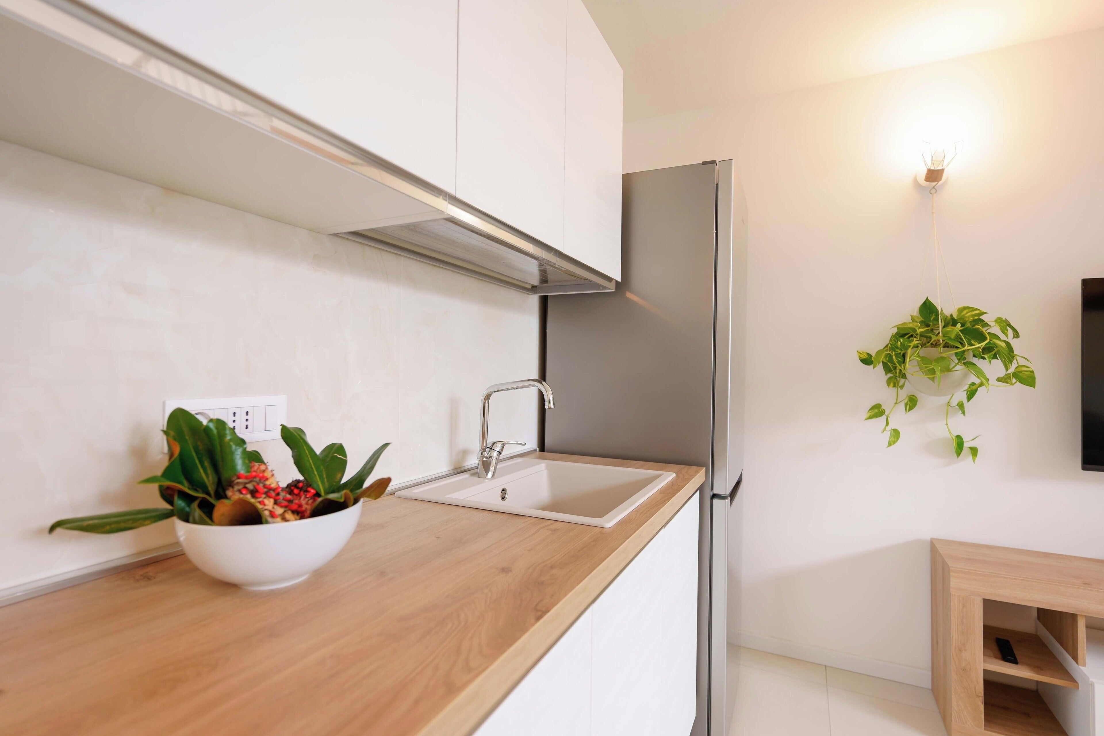 Full-sized fridge, oven, stovetop, dishwasher