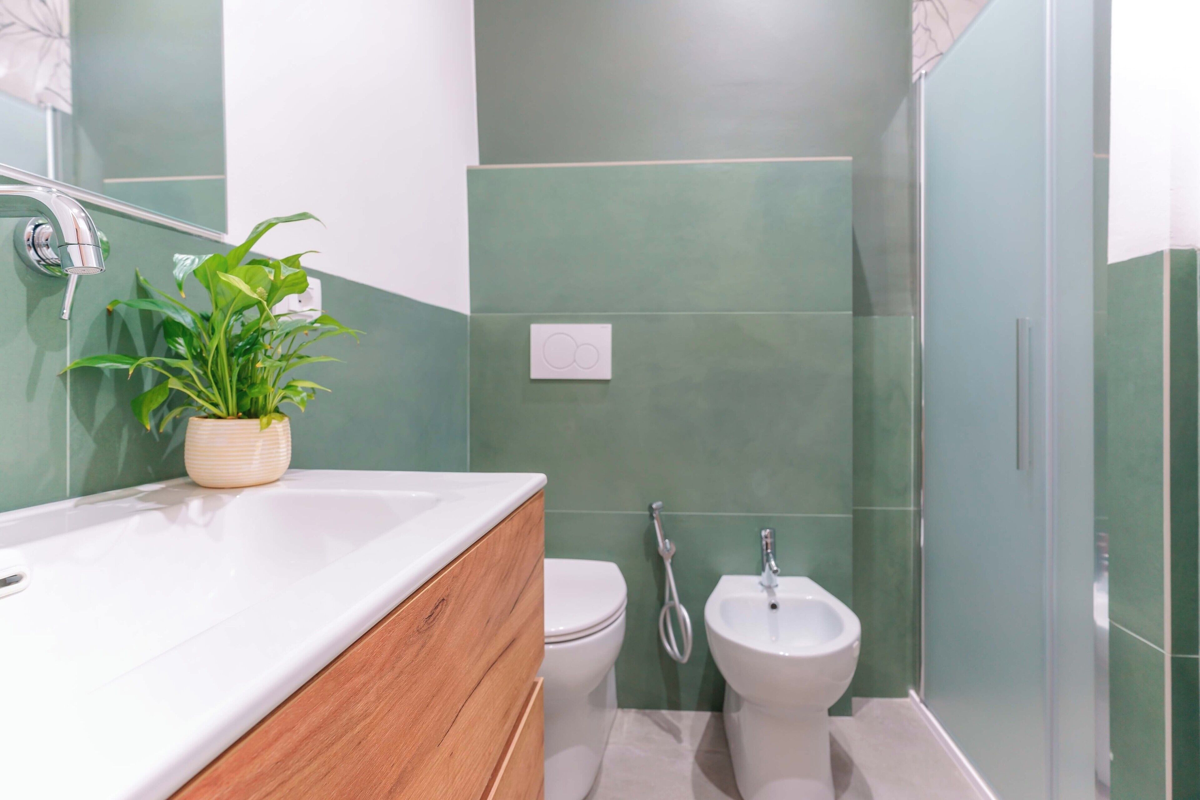 A bathroom with a shower, toilet, bidet, and a potted plant on the sink.