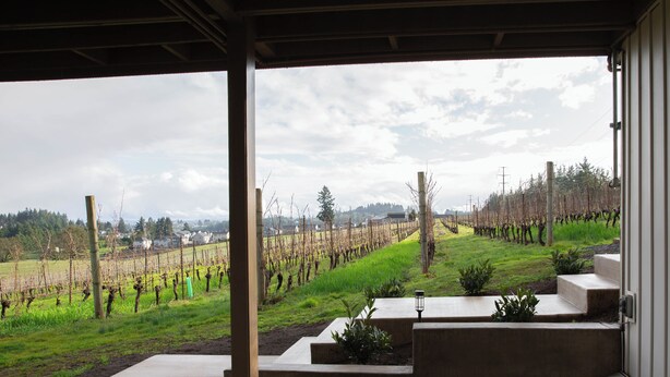 A covered outdoor area with a view of a vineyard. - Vineyard 1 bedroom apartment in West Salem - Gorgeous Views. (Salem)
