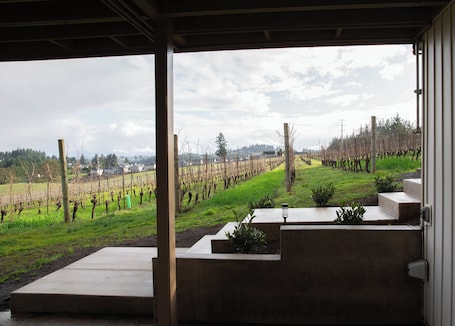 Property grounds. Vineyard 1 bedroom apartment in West Salem - Gorgeous Views.