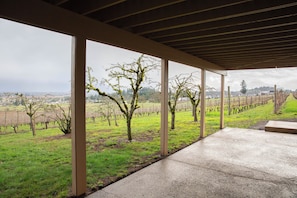 Un espace extérieur abrité offrant une vue sur un vignoble.